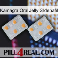 Kamagra Oral Jelly Sildenafil 25